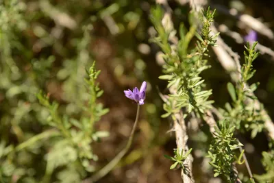 DSC_1641 (Large).JPG